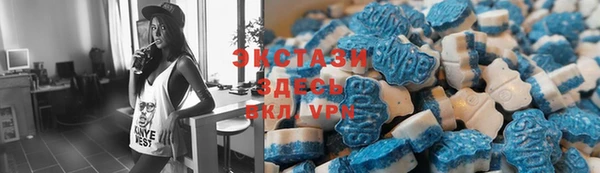сатива Каменка