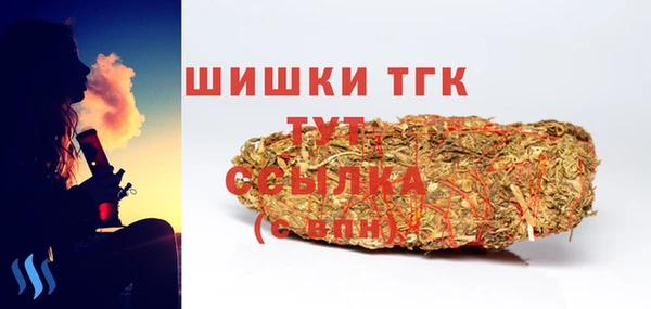 сатива Каменка