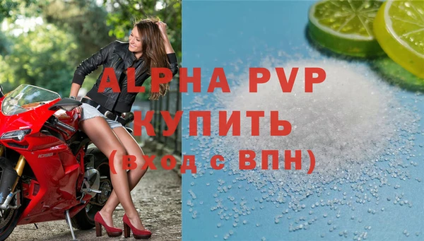 сатива Каменка