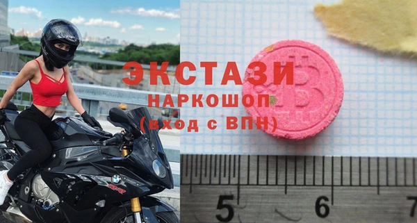 сатива Каменка
