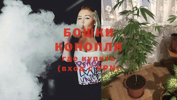 сатива Каменка