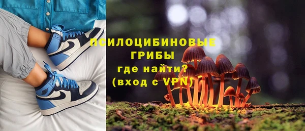 сатива Каменка