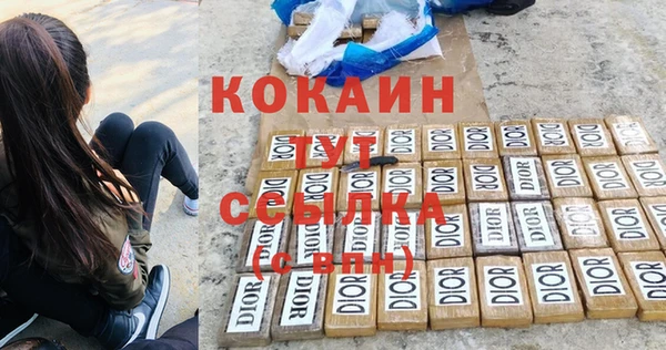 мдпв Инсар