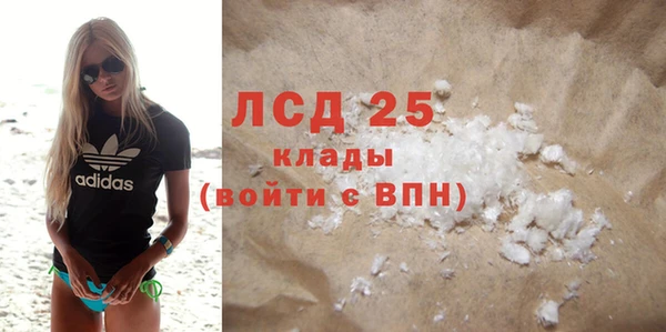 сатива Каменка