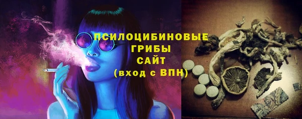 сатива Каменка