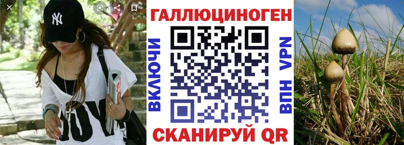 Купить закладки  Рыбное  Псилоцибиновые грибы MAGIC MUSHROOMS 
